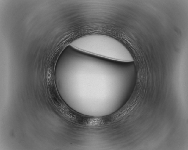 X0000113550092200909181008
