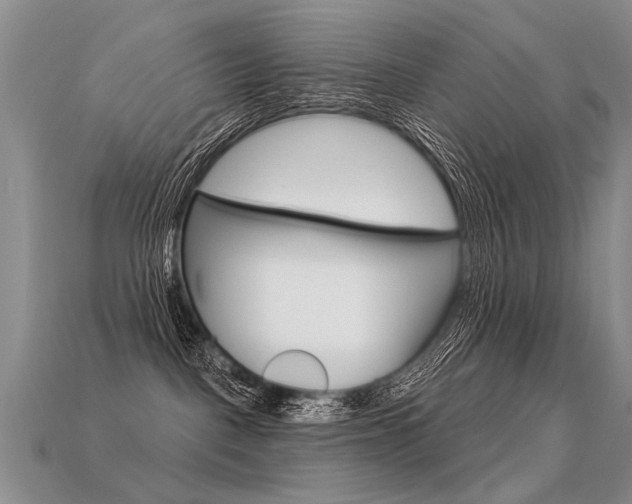 X0000113550093200909181008