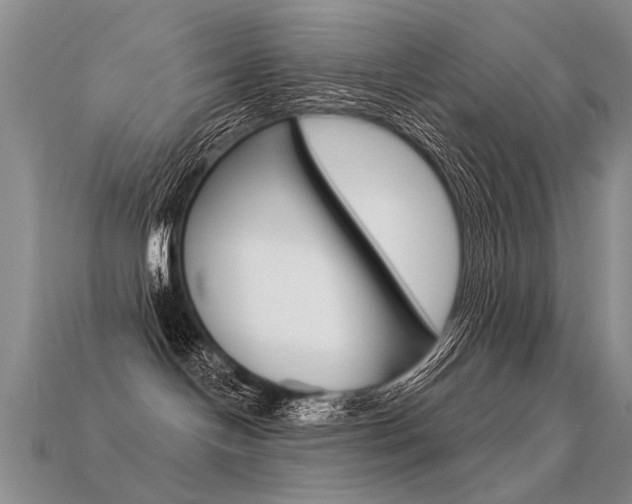 X0000113550094200909181008