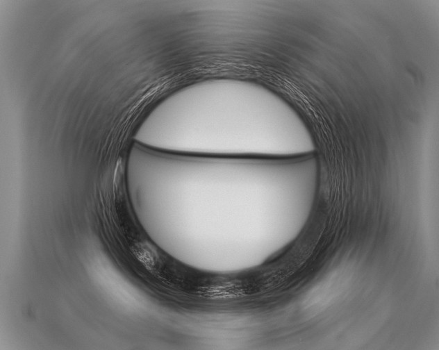 X0000113550095200909181008