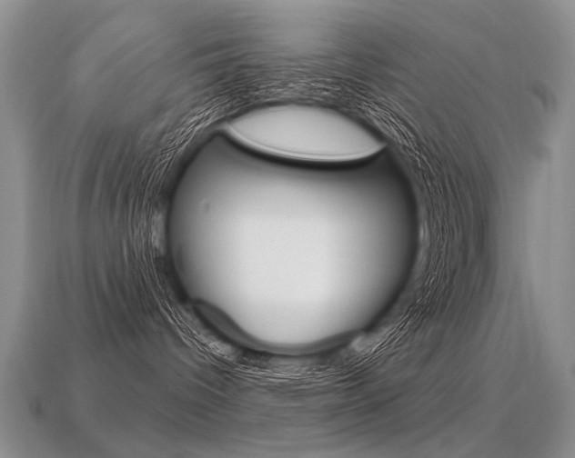 X0000113550096200909181008