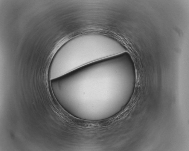 X0000113550099200909181007