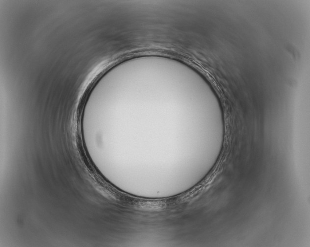 X0000113550102200909181007