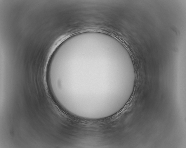 X0000113550104200909181007