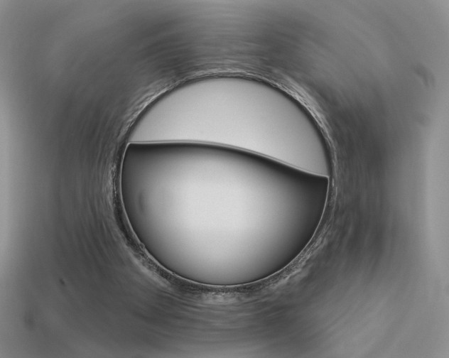 X0000113550105200909181007