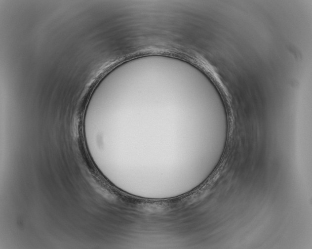 X0000113550106200909181007