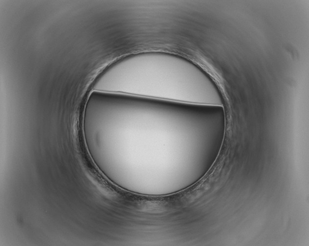 X0000113550107200909181007