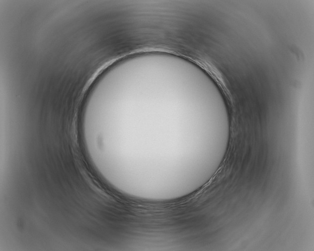 X0000113550108200909181007