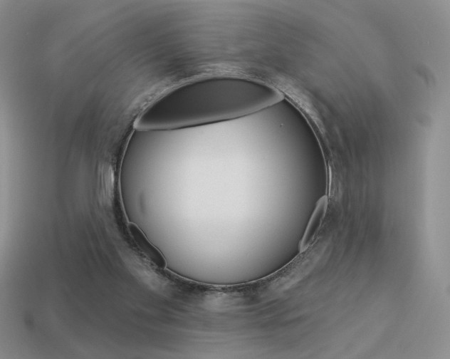 X0000113550109200909181007