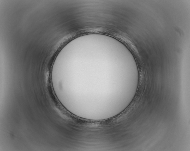 X0000113550110200909181007