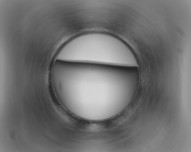 X0000113550111200909181007