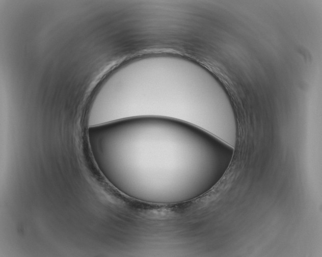 X0000113550112200909181007