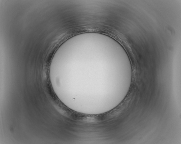 X0000113550114200909181007