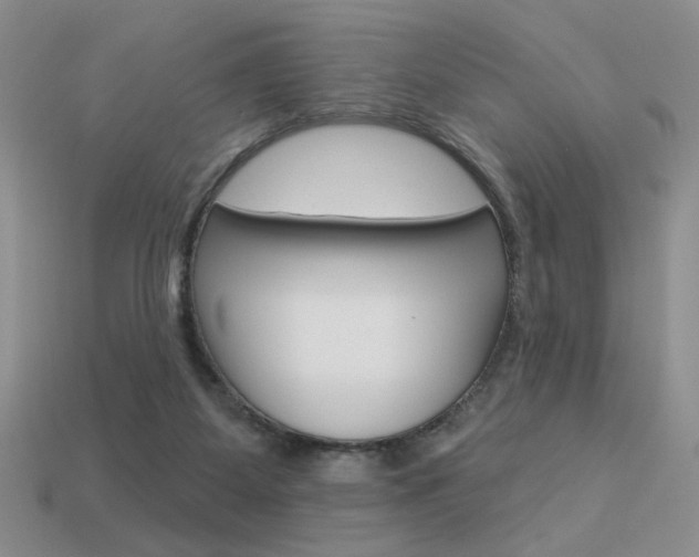 X0000113550115200909181007