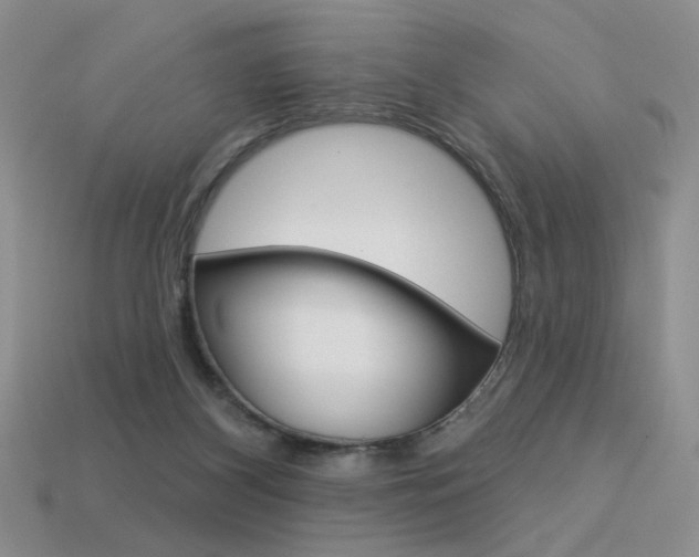 X0000113550116200909181007
