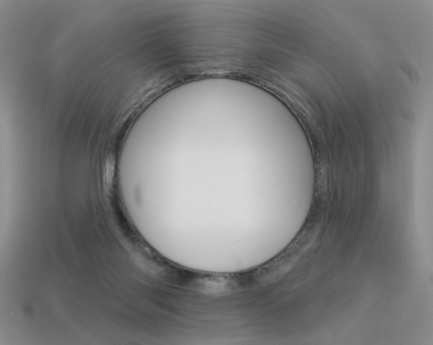X0000113550118200909181007