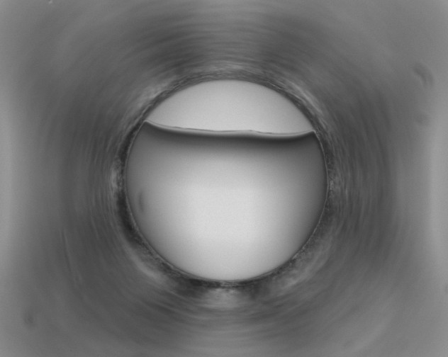 X0000113550119200909181007