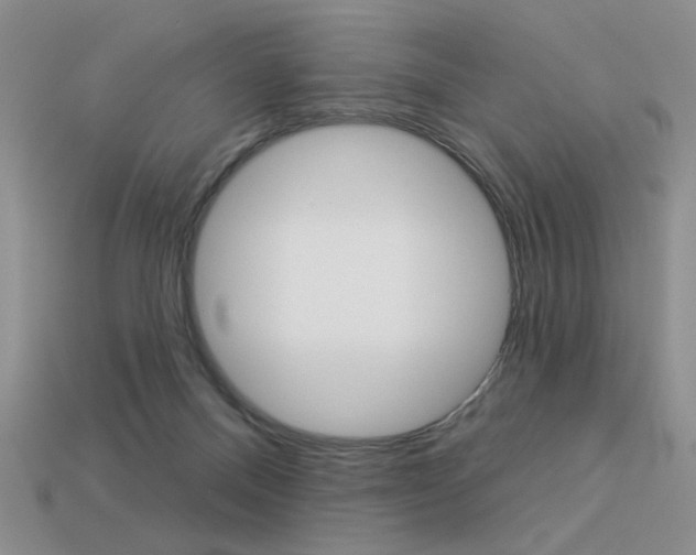 X0000113550120200909181007