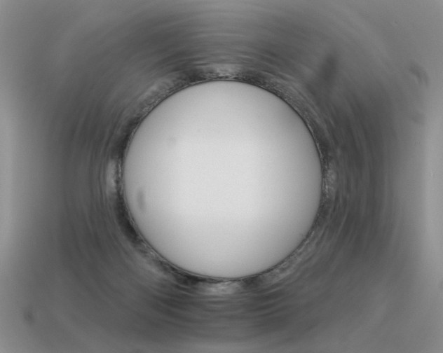 X0000113550122200909181007