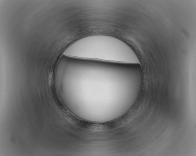 X0000113550123200909181007