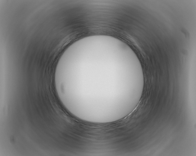 X0000113550124200909181007