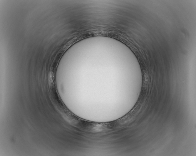 X0000113550130200909181007