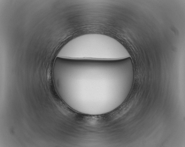 X0000113550131200909181007