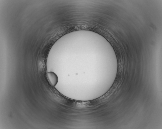 X0000113550134200909181007