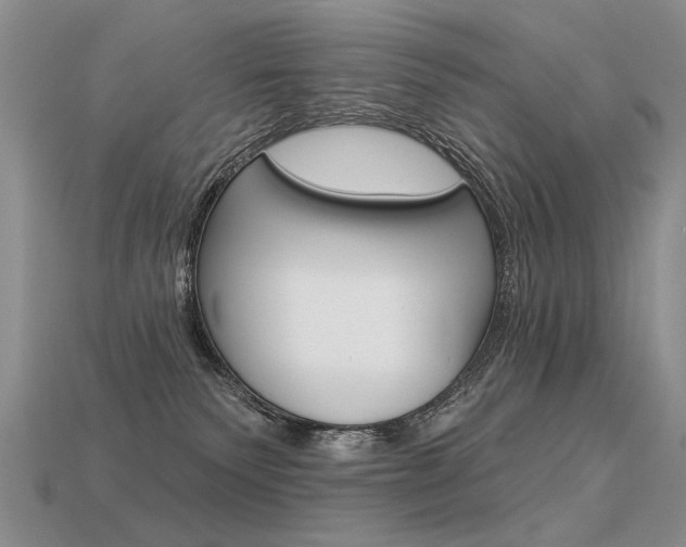 X0000113550135200909181007