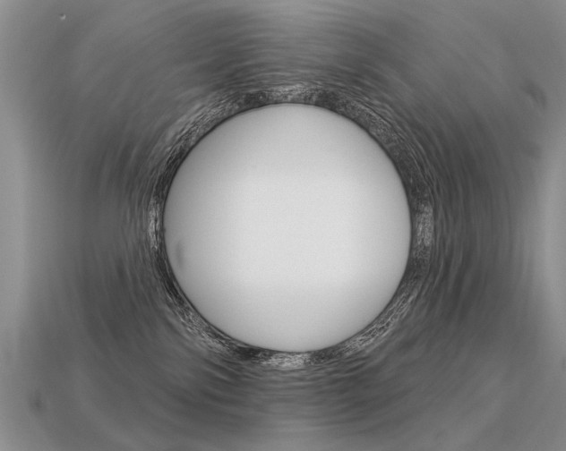X0000113550138200909181007