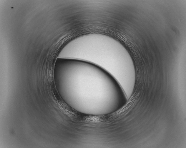 X0000113550140200909181007
