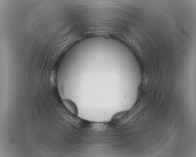X0000113550141200909181007