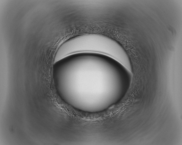 X0000113550144200909181007