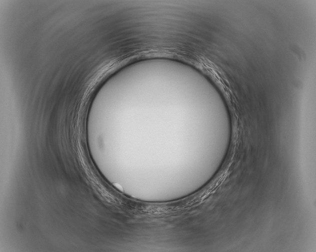 X0000113550145200909181006
