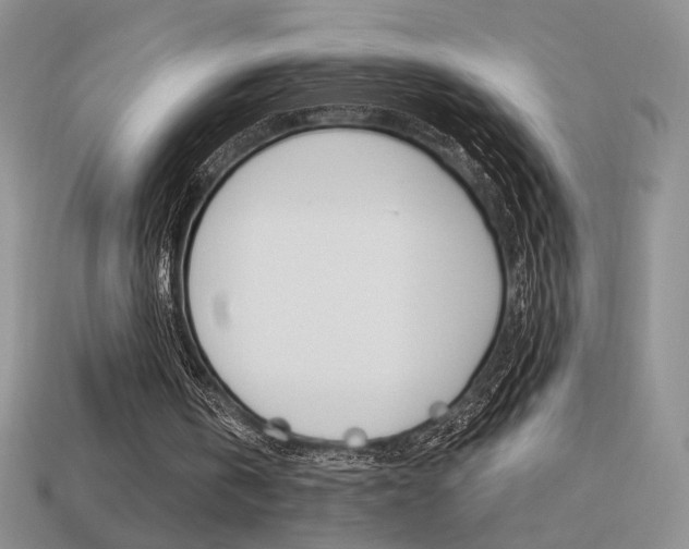X0000113550146200909181006