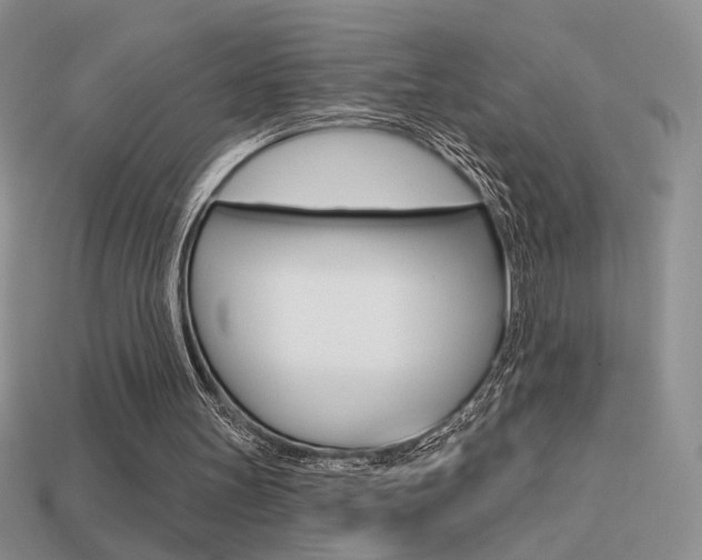 X0000113550147200909181006