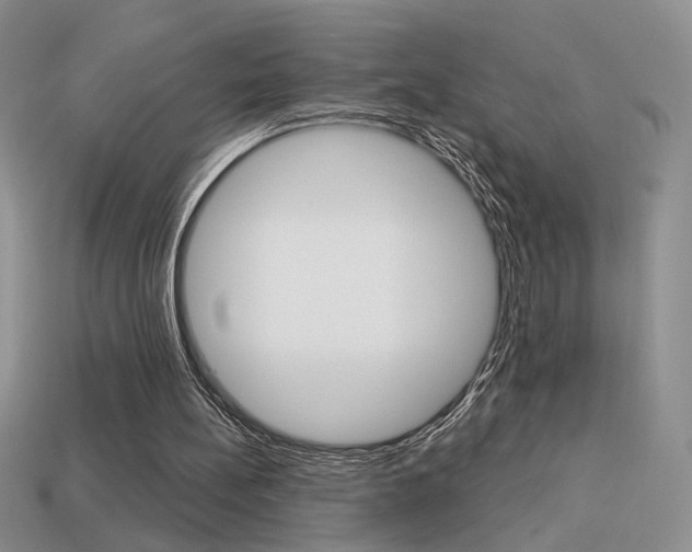 X0000113550148200909181006