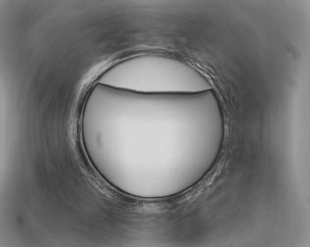 X0000113550149200909181006