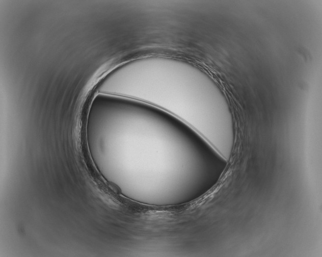 X0000113550150200909181006