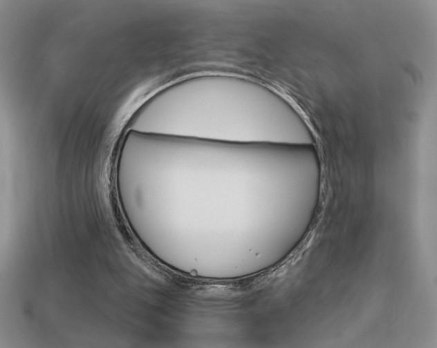X0000113550151200909181006