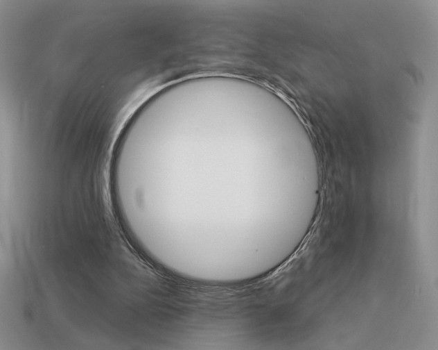 X0000113550152200909181006