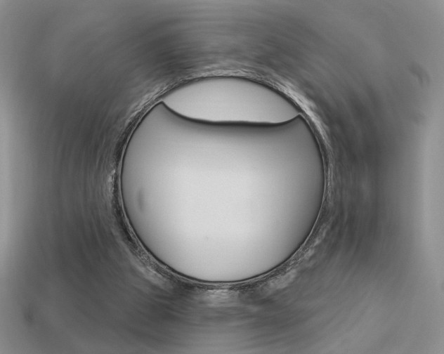 X0000113550153200909181006