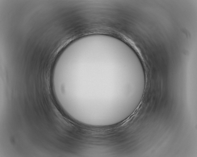X0000113550154200909181006