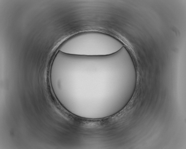 X0000113550155200909181006