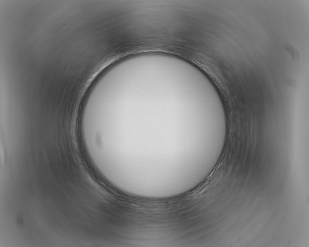 X0000113550156200909181006