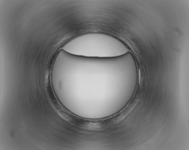 X0000113550157200909181006