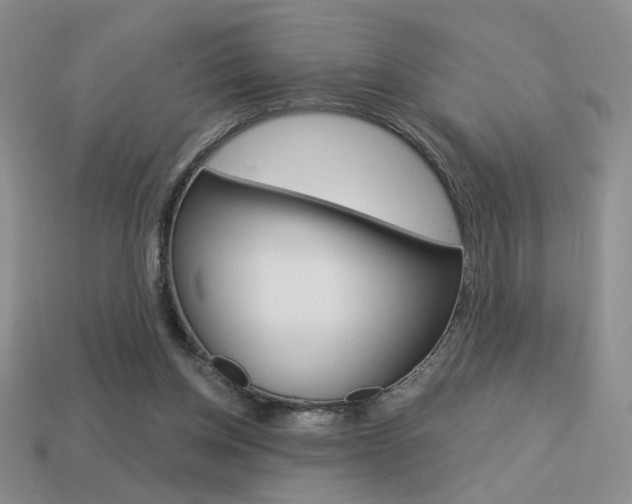 X0000113550158200909181006