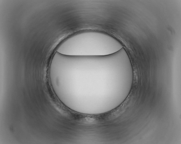 X0000113550159200909181006