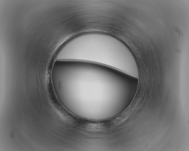 X0000113550160200909181006