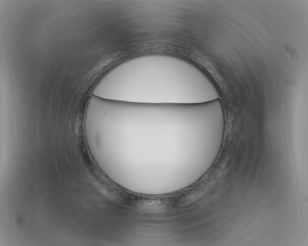 X0000113550161200909181006